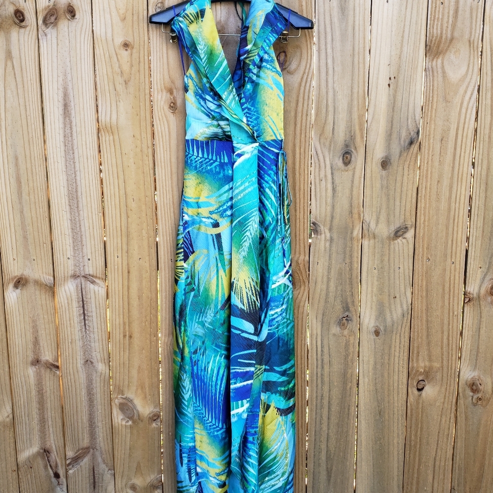 Stunning Long Caché NWT Dress